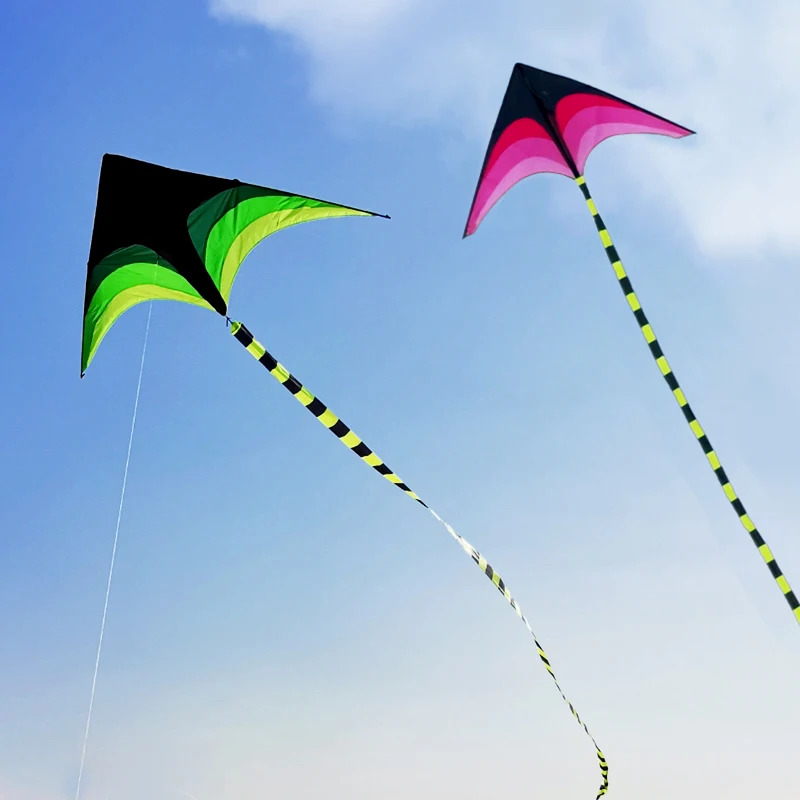 Adults Easy to Fly Large Huge  - Kite Easy Fly Kids recension och pris