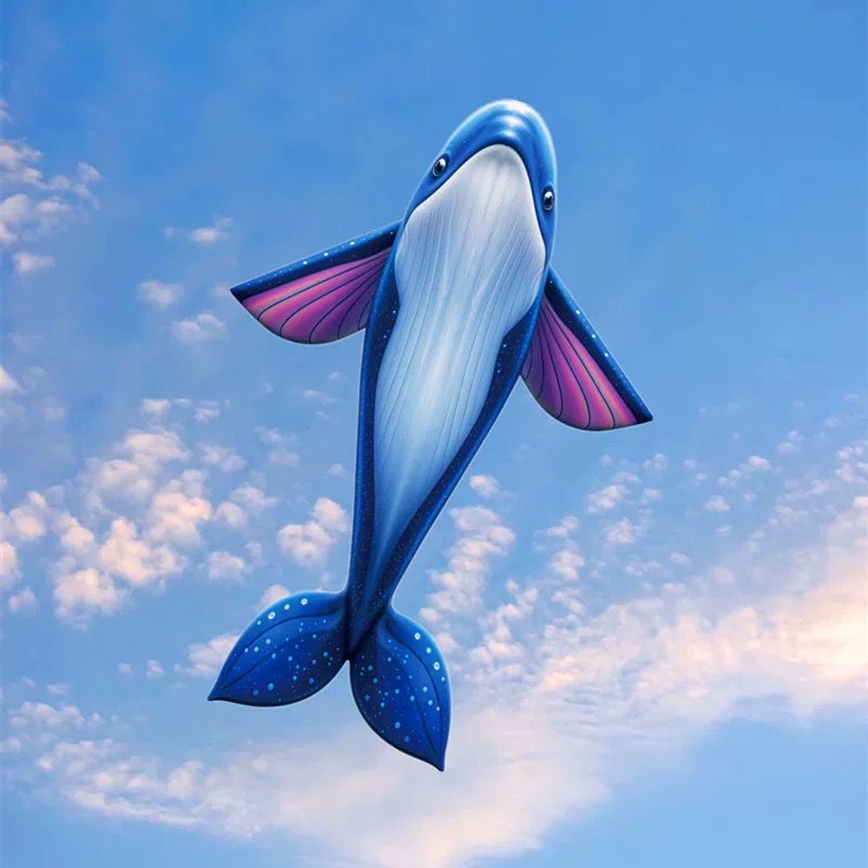 free shipping whale kite flyin - Kite Easy Fly Kids recension och pris