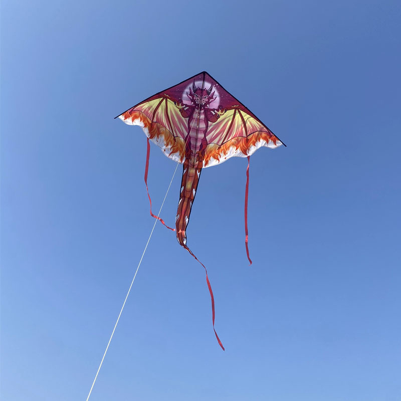 Large Dragon Kite For Kids & A - Kite Easy Fly Kids recension och pris