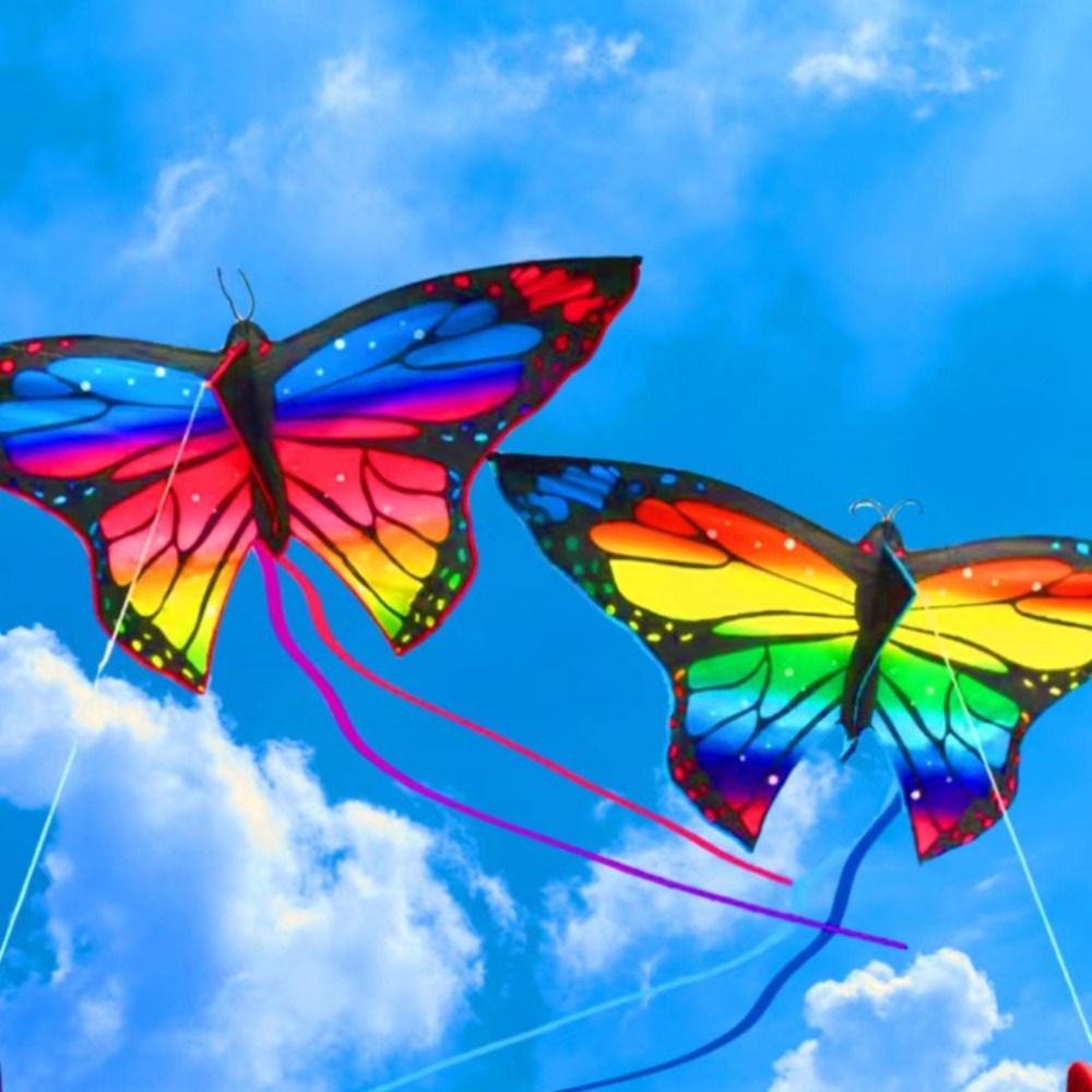 Easy to Fly Colorful Butterfly - Kite Easy Fly Kids recension och pris