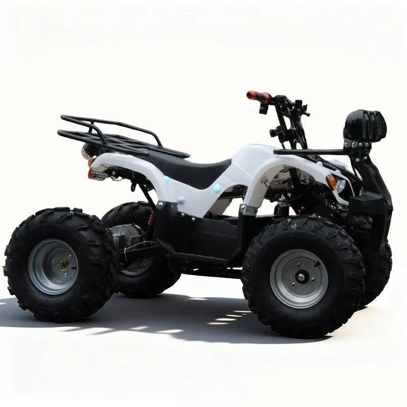 750W 48V Kids Electric ATV Qua - Kids Outdoor Electric Quad recension och pris