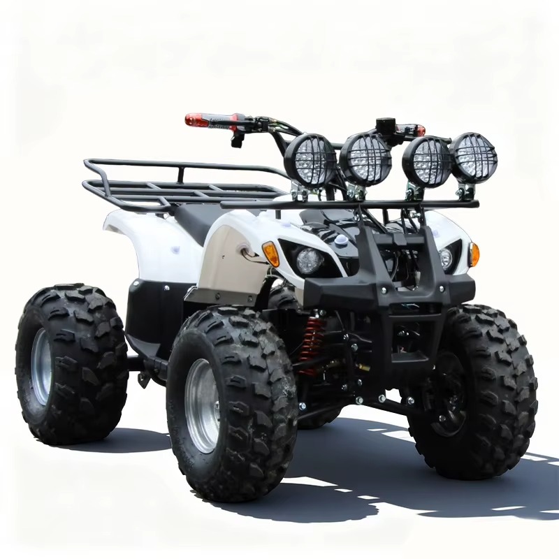 750W 48V Kids Electric ATV Qua - Kids Outdoor Electric Quad recension och pris