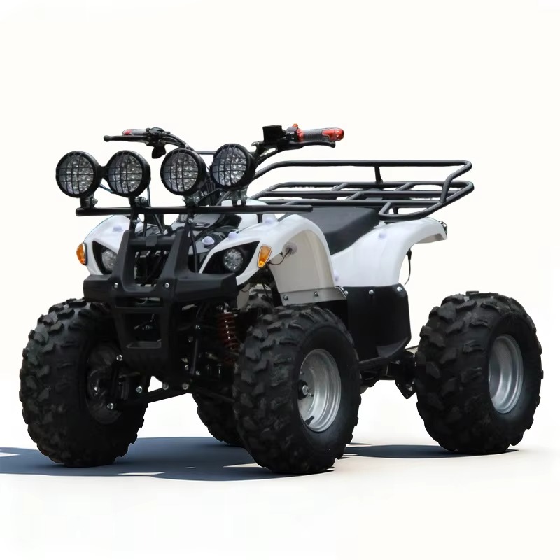750W 48V Kids Electric ATV Qua - Kids Outdoor Electric Quad recension och pris
