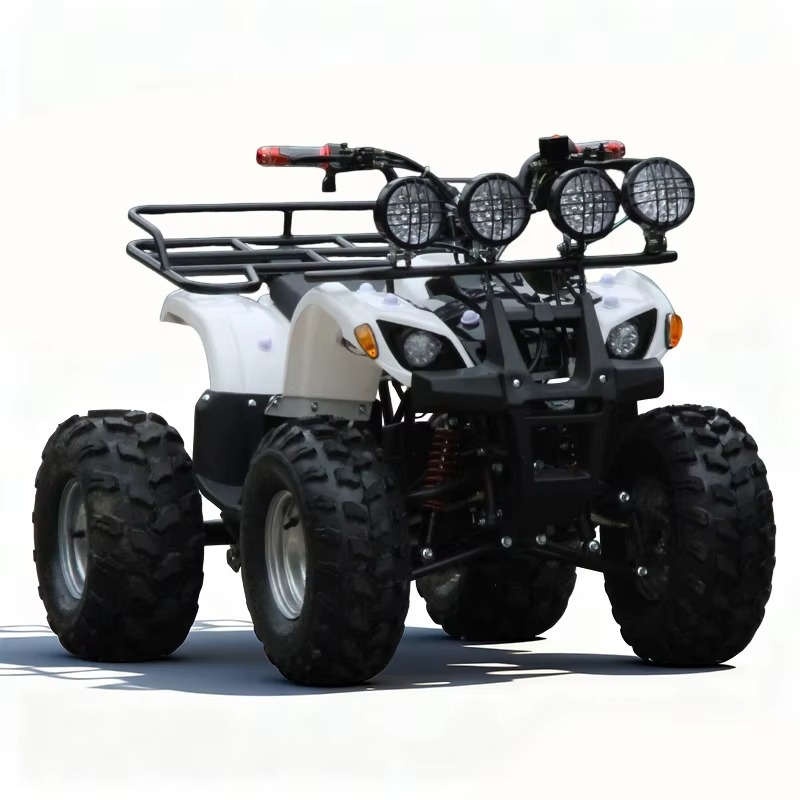 750W 48V Kids Electric ATV Qua - Kids Outdoor Electric Quad recension och pris
