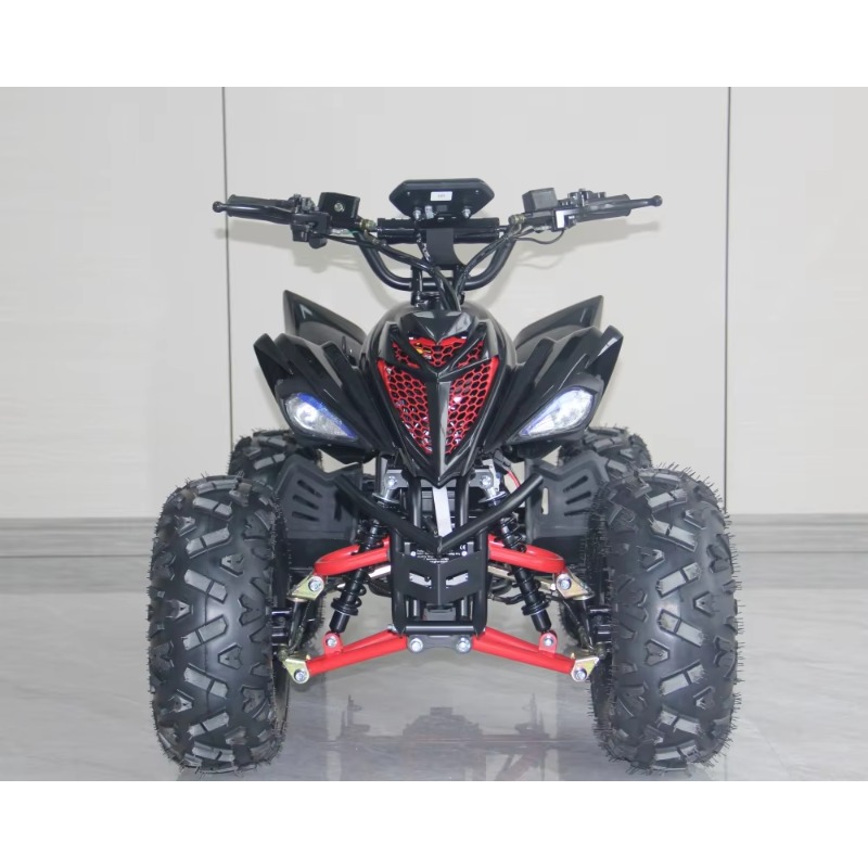 48V 1000W Electric Kids ATV 4  - Kids Outdoor Electric Quad recension och pris