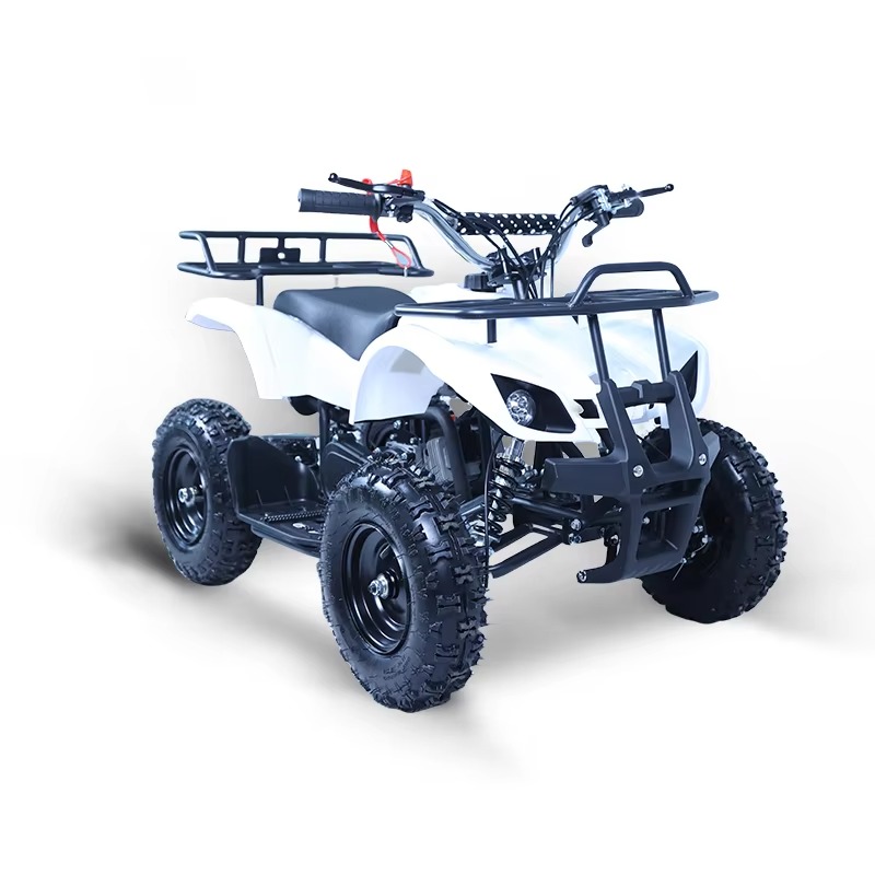 49cc Mini ATV Kids Quad Bike 2 - Kids Outdoor Quad recension och pris