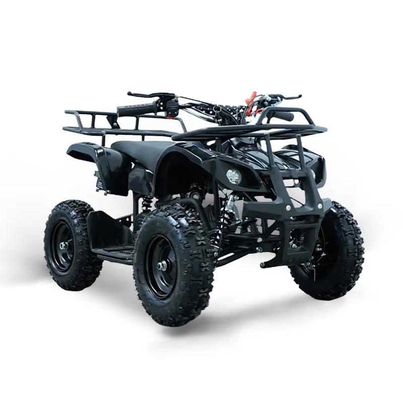 49cc Mini ATV Kids Quad Bike 2 - Kids Outdoor Quad recension och pris