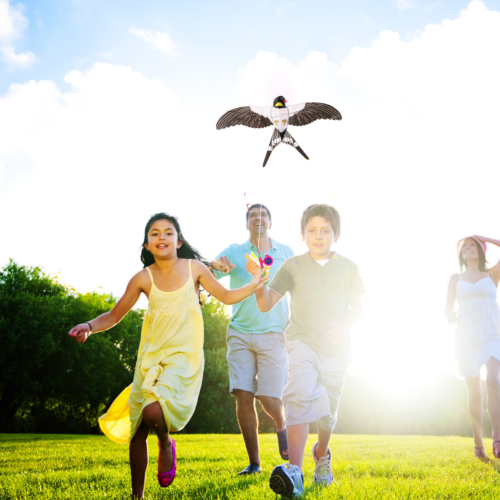 Easy to Fly Bird Kite Kite for - Kite Easy Fly Kids recension och pris