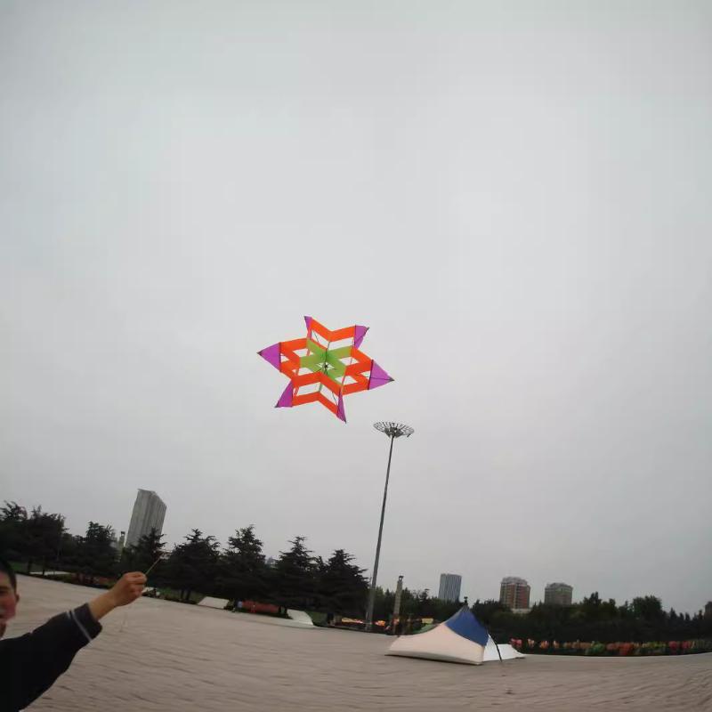 Travel-friendly 3D Plum Blosso - Kite Easy Fly Kids recension och pris